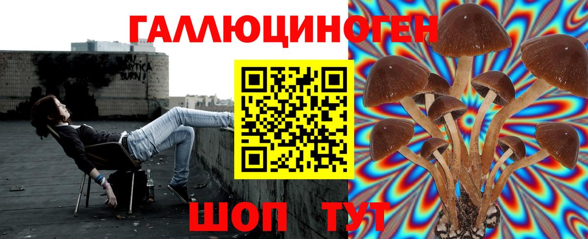 Псилоцибиновые грибы мухоморы  Вход с VPN  Усолье-Сибирское 